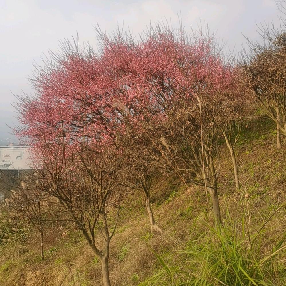 ଘℯ⃝有你ꦿ᪲💗心ᮢ安꧀ᩚꕥ᭄