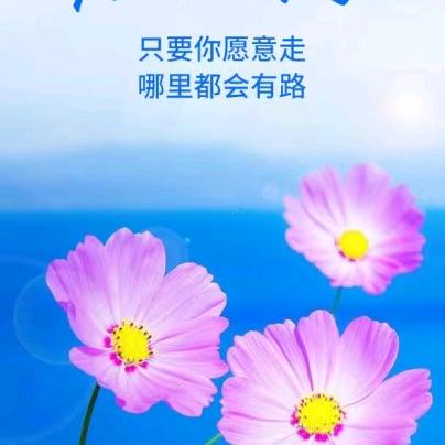 薇薇车品小店