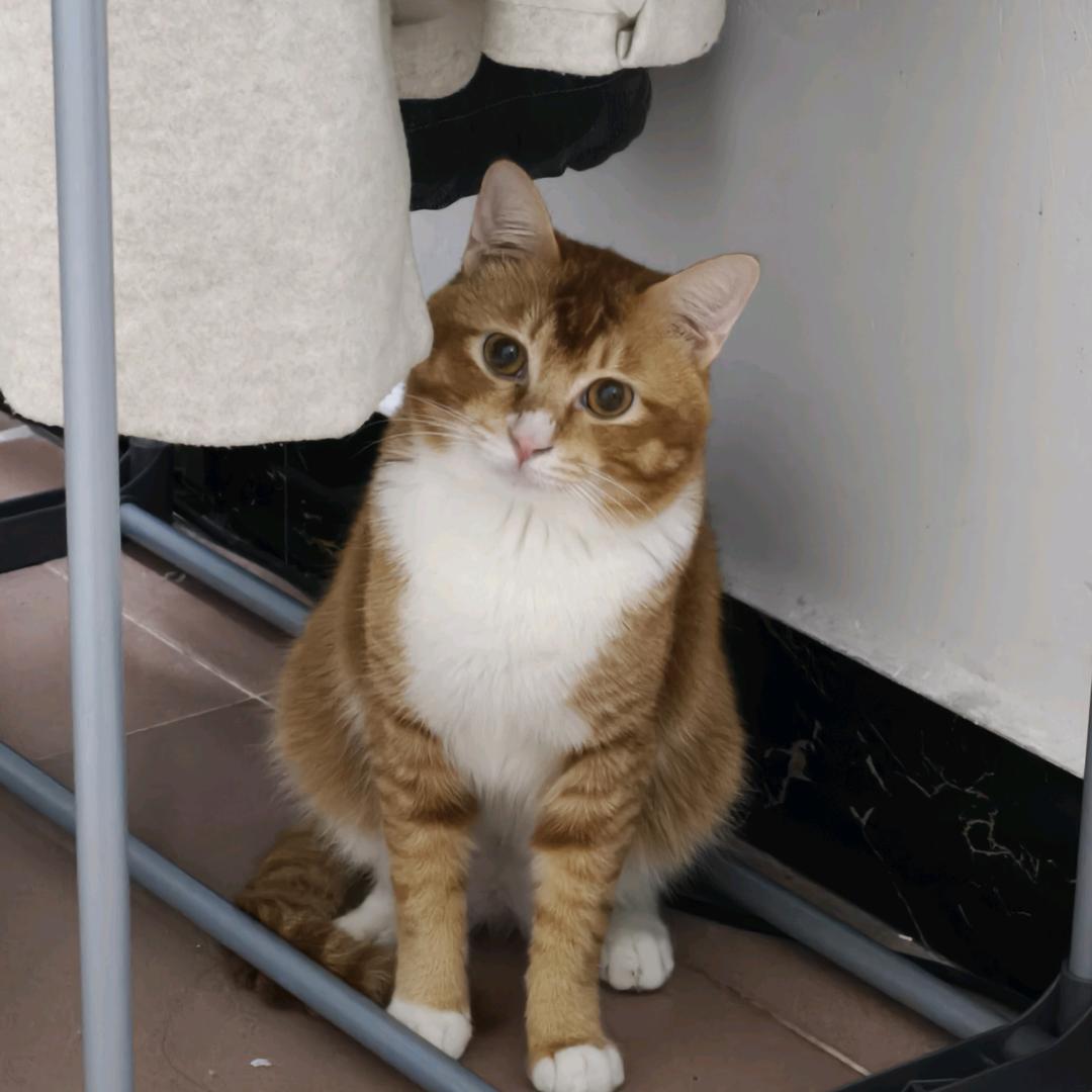 玺玺是我的猫🏸