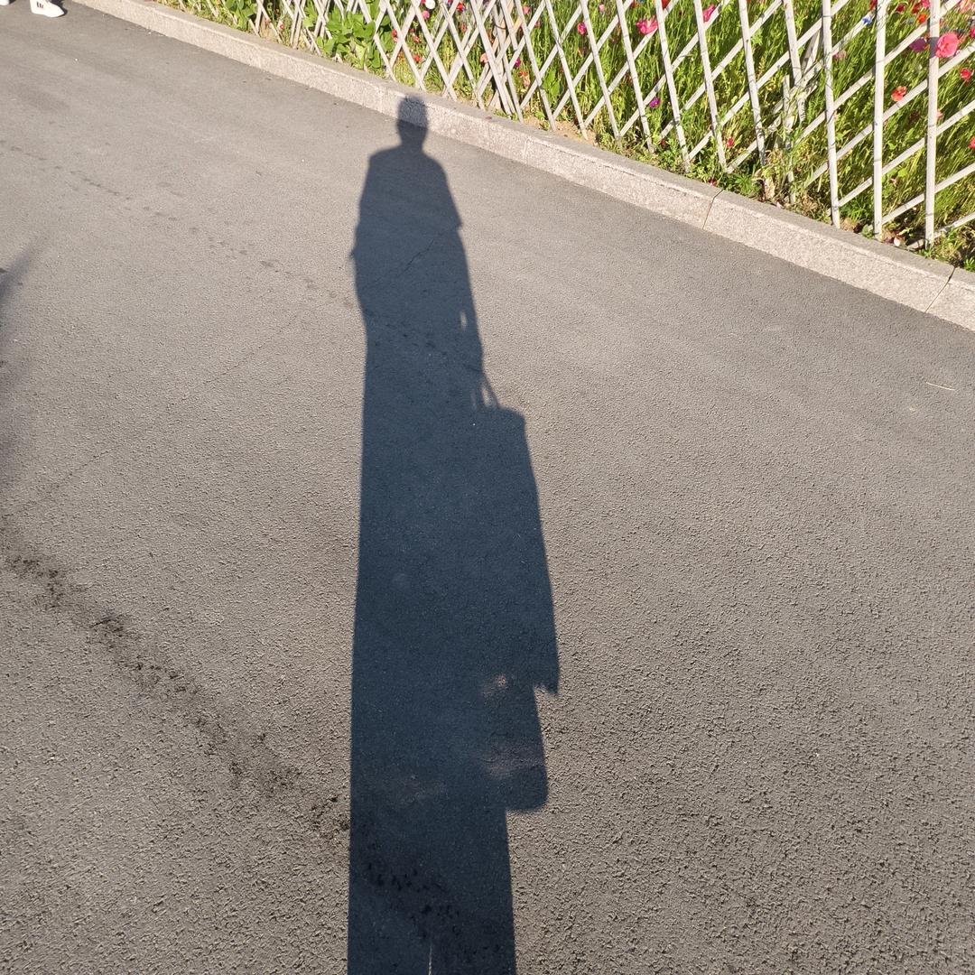 忘。言