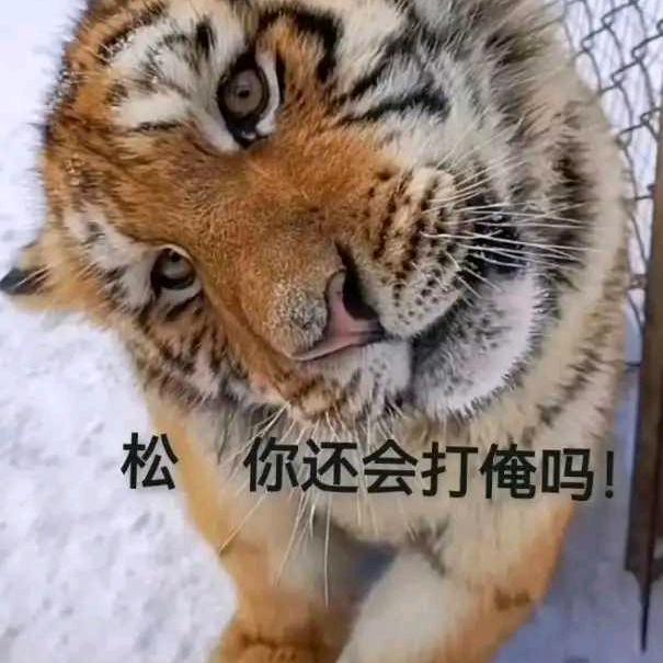 清风灬