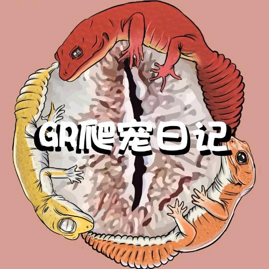 GR爬宠日记