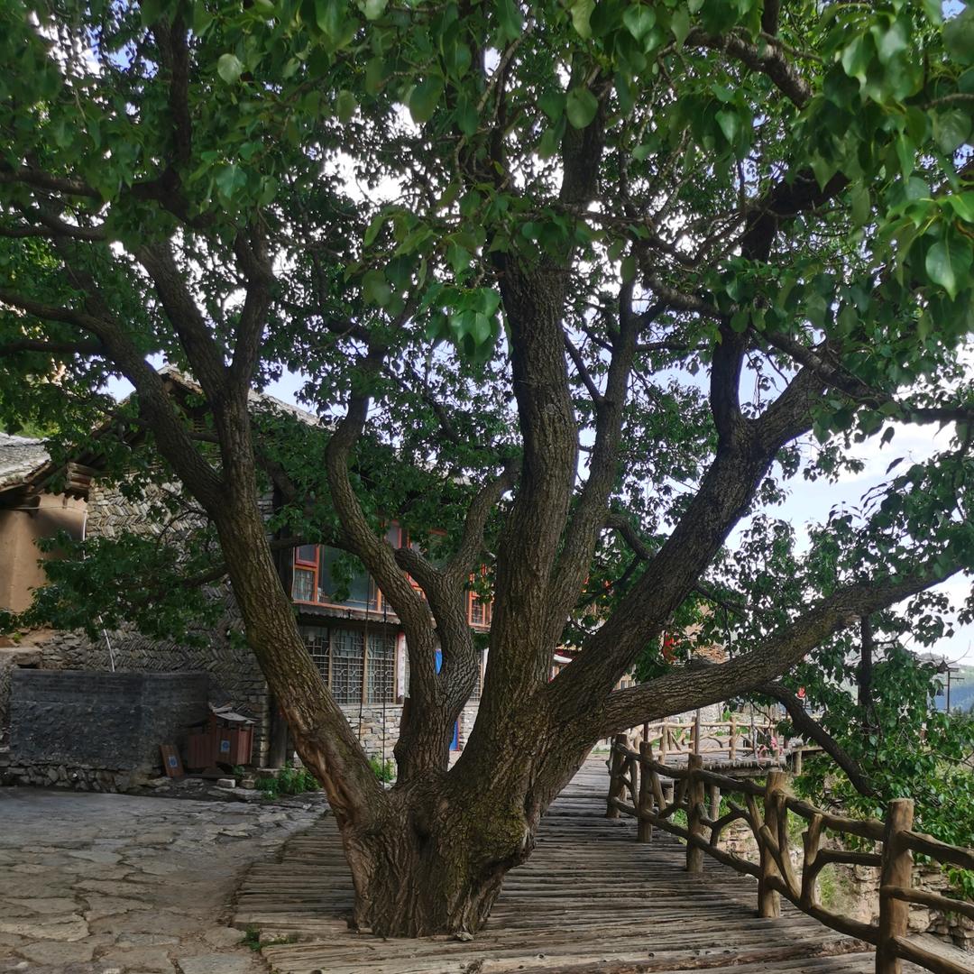 kl用户2592107907354