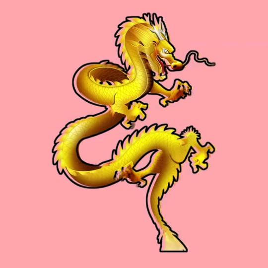 龙姐