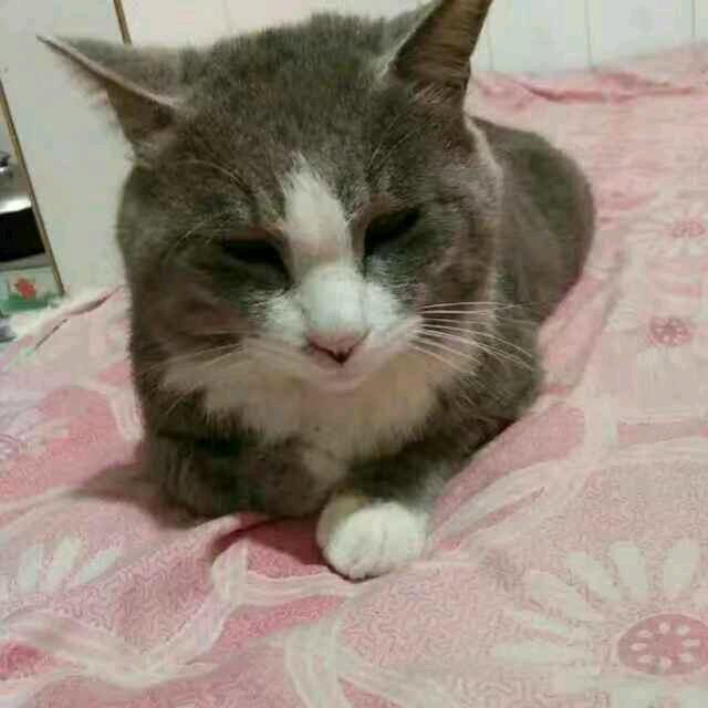 我爱我家0917