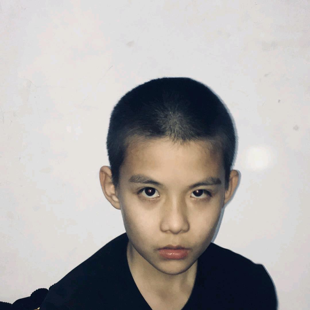 生产队的驴