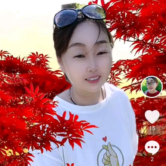 兔子姐姐手势舞