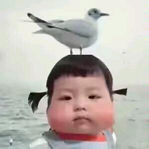 解决头像
