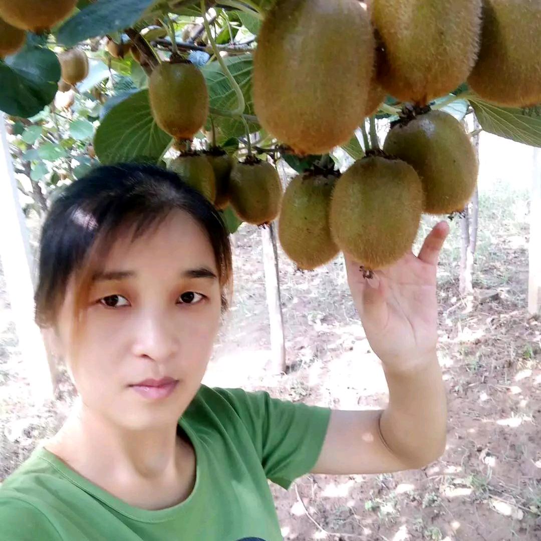 芙蓉故事馆