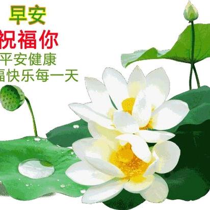 织里风速开锁配钥匙