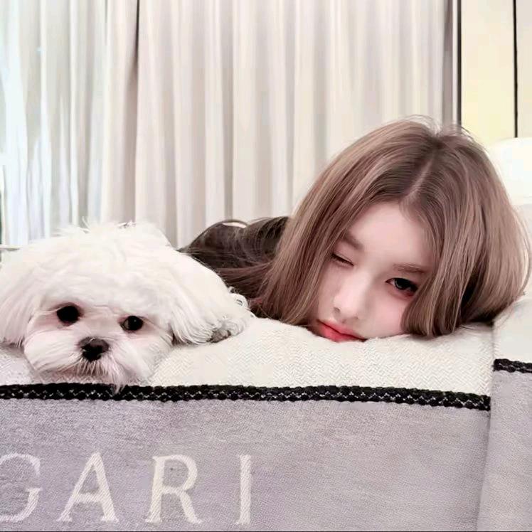 ︋︋︋︋︋ ㅤㅤㅤㅤ