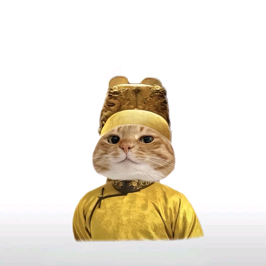 高冷的包子