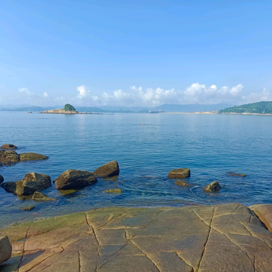 金子教你一日三餐