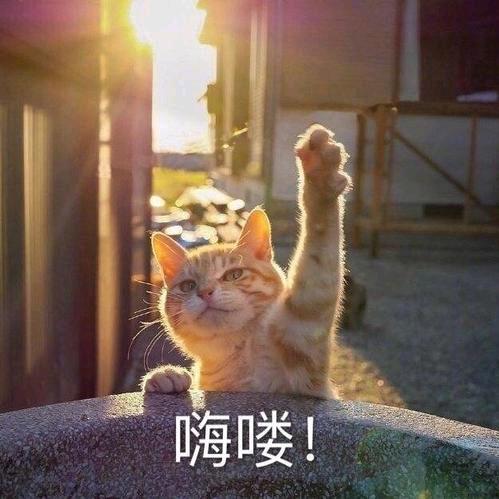 梦想