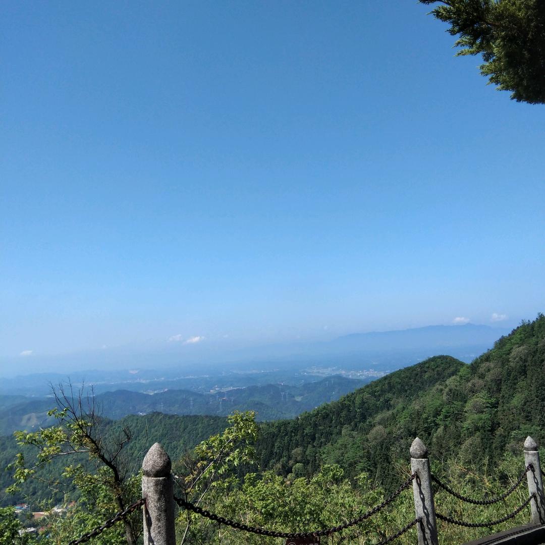 翊念