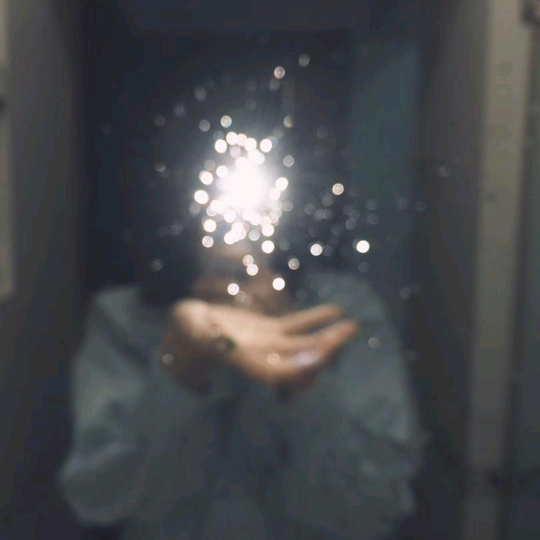 提子包🍞
