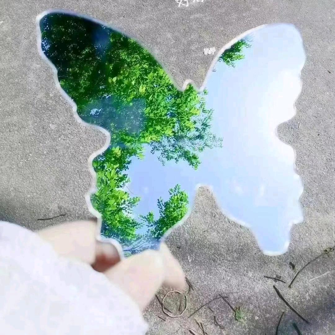 🌈🌈向日葵🌈🌈