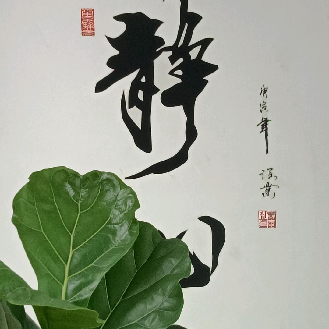 用，钓鱼大师是我头像