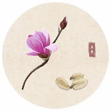 佰草集