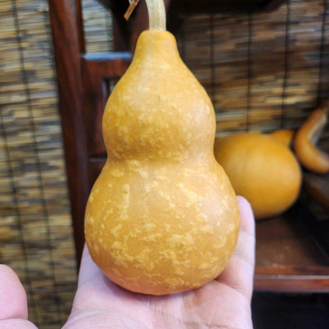 梦水乡葫芦葫芦