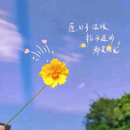 若惜