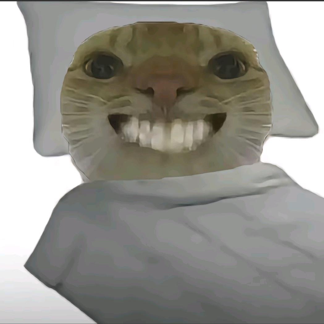 渔歌纸（直播号）