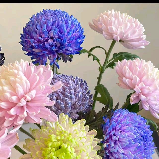 এ᭄珍(ღ♡‿♡ღ)惜꧔ꦿ᭄💞