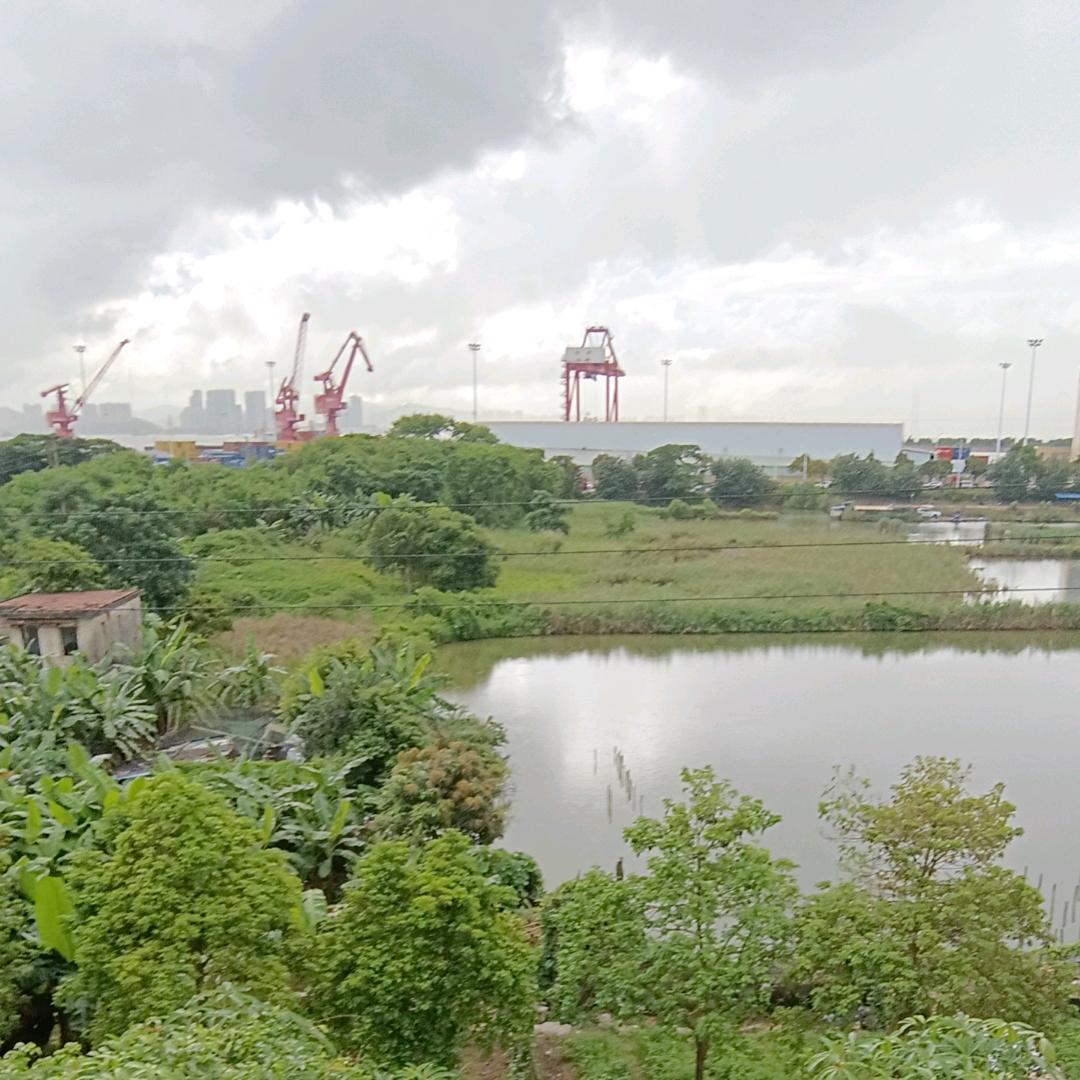 明， （小号）