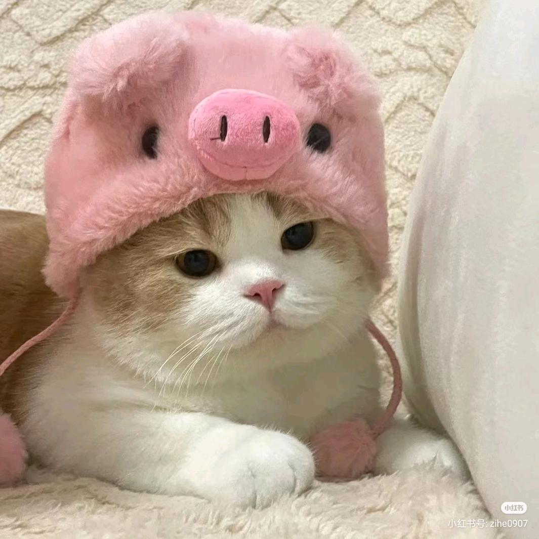 优优的服饰小店