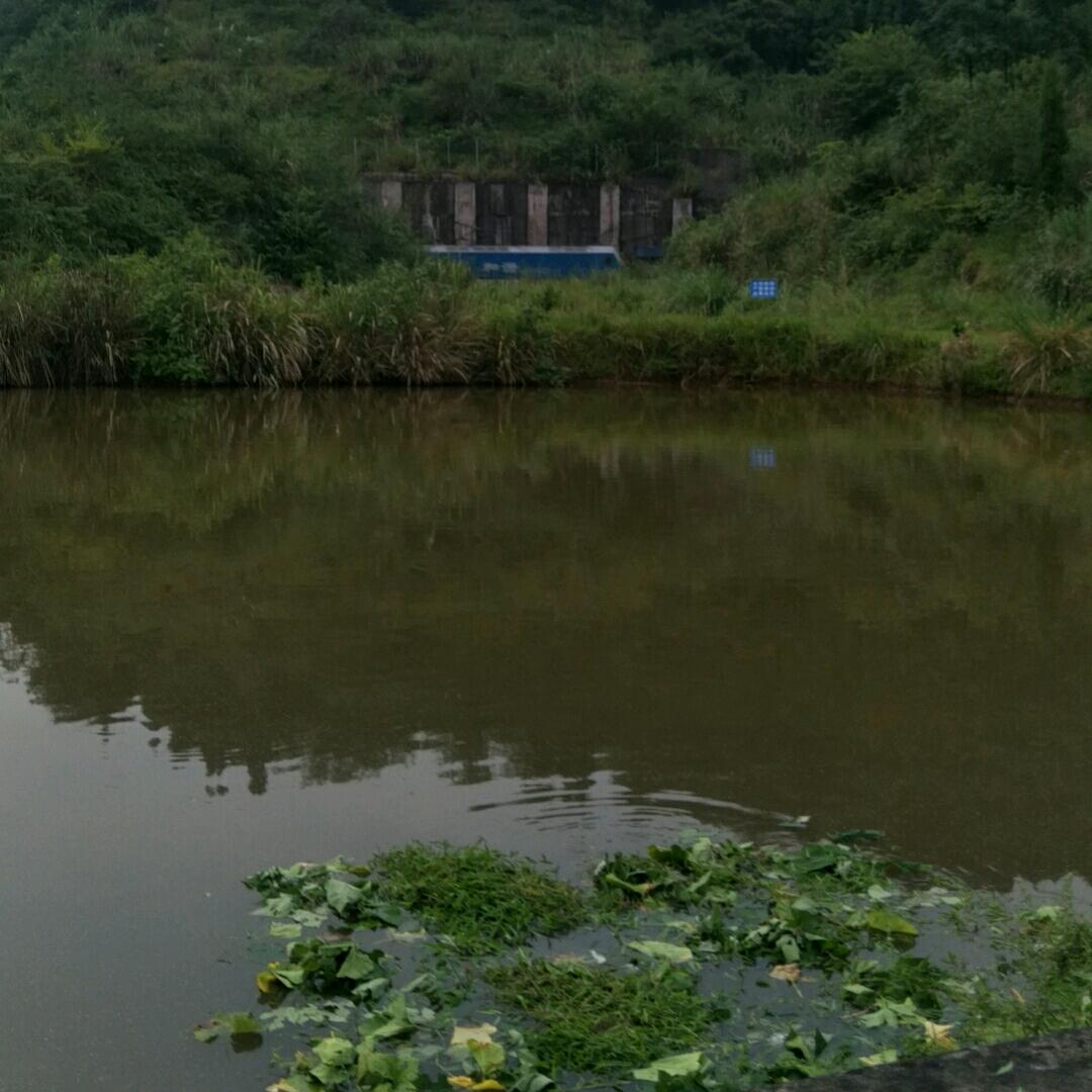 南风哥