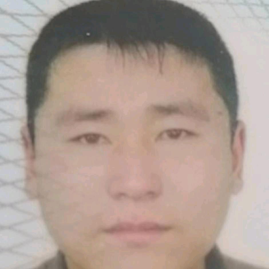 天若有情