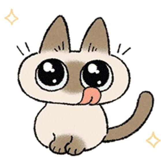 小晏奇趣杂货铺