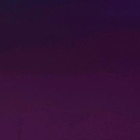 🕸️
