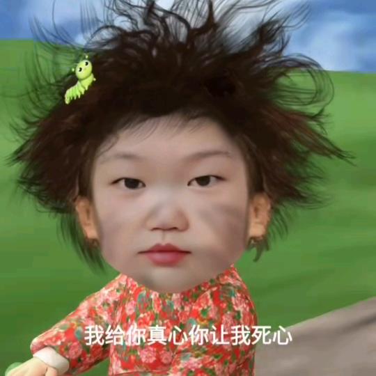 韩杨之馨