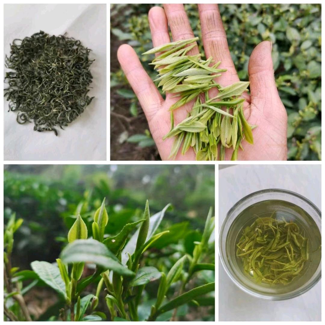 丈母娘《覃姐》手工茶！