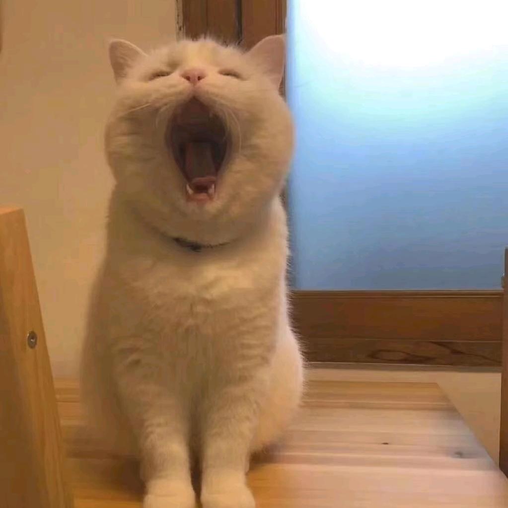 起风了你还不回来吗