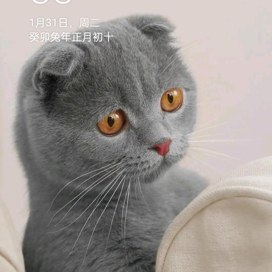 勤哥