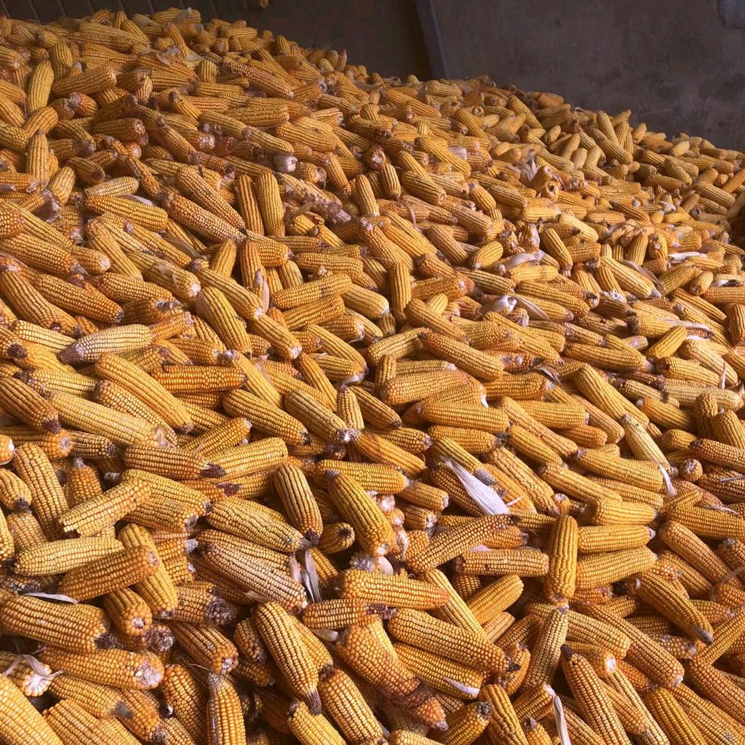 粮食般运工，