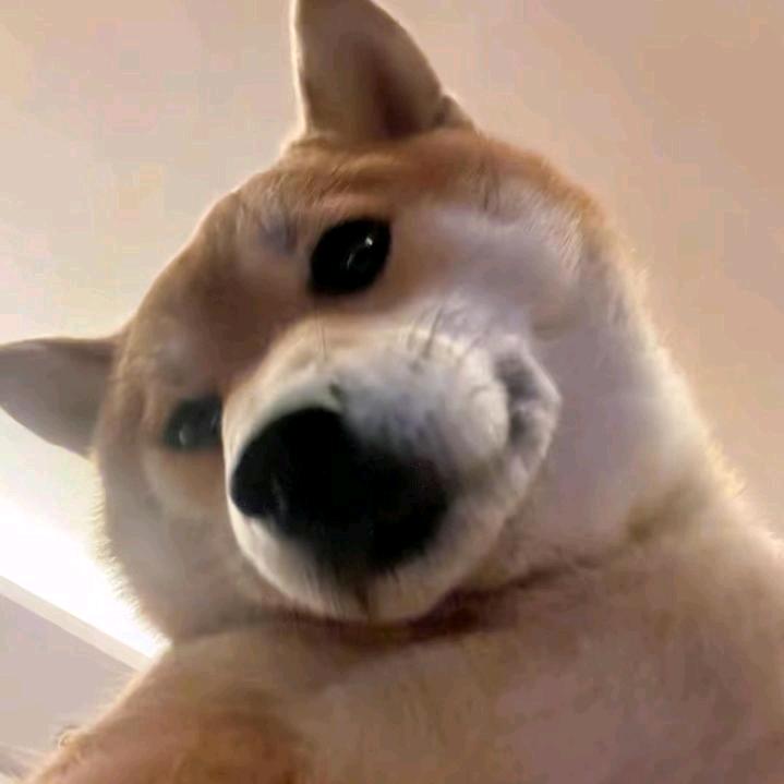 汤姆