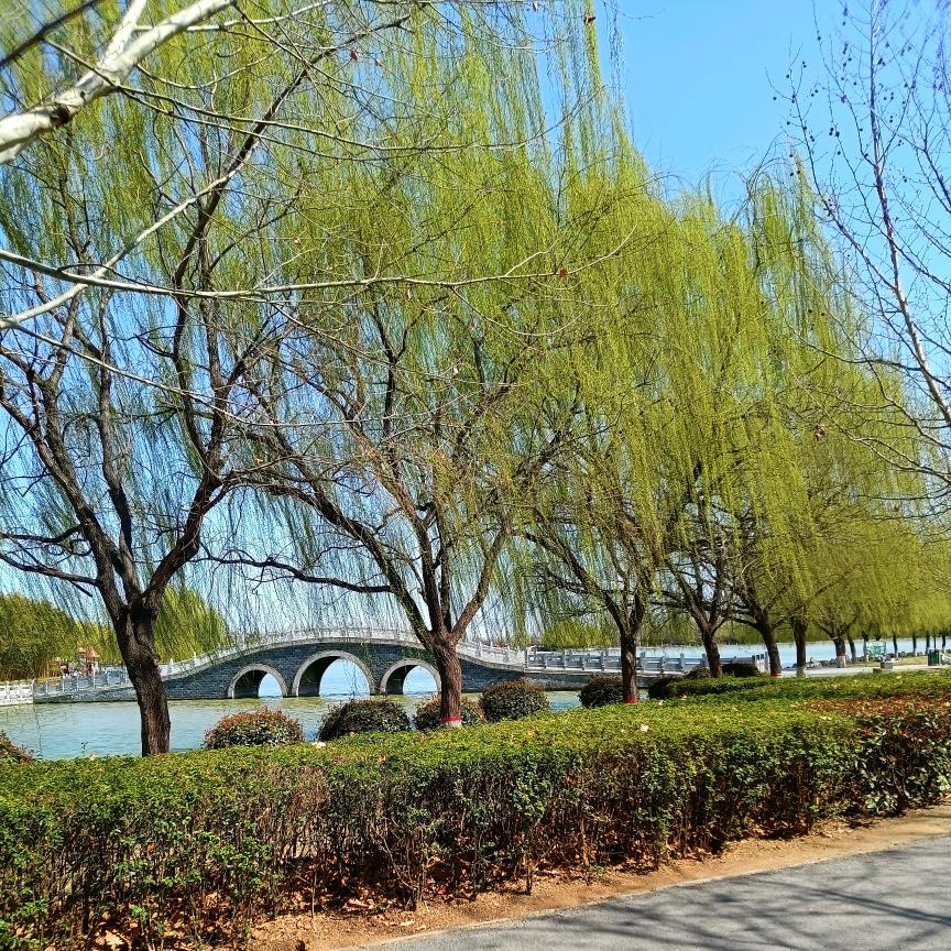 燕舞晴空