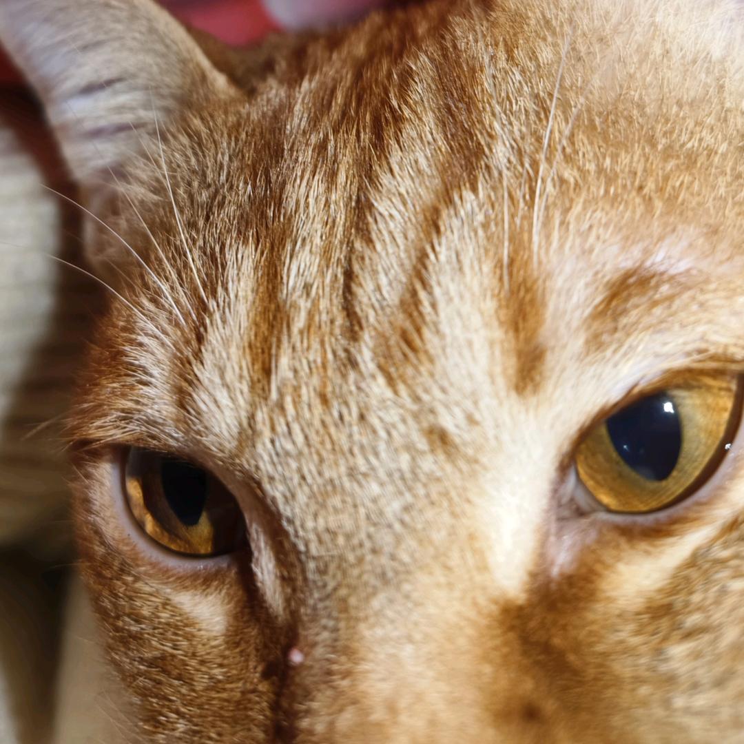 小A