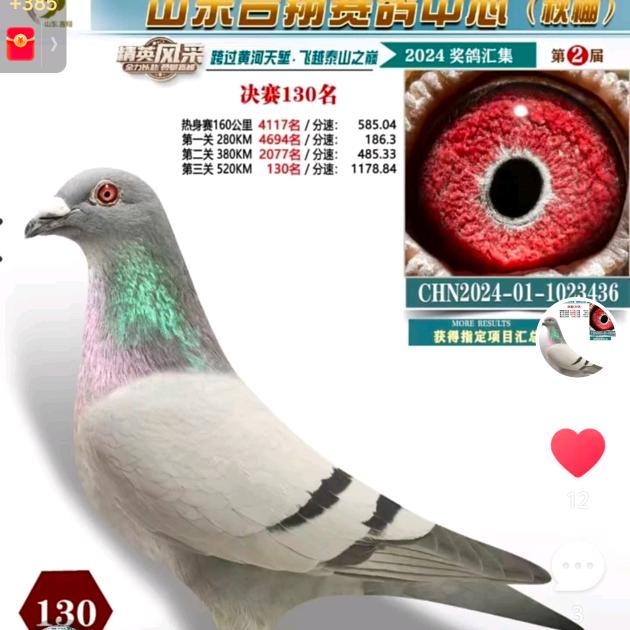 启航一小祁