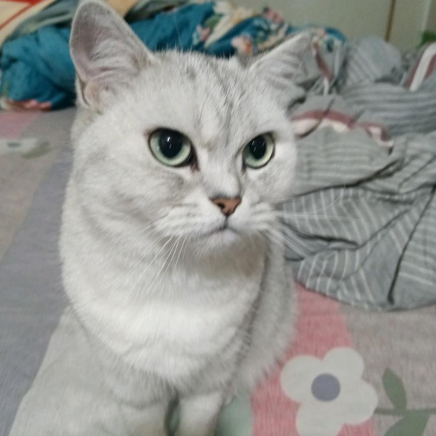 MY BODY万达广场(万达广场成都锦华路店)MY BODY段段