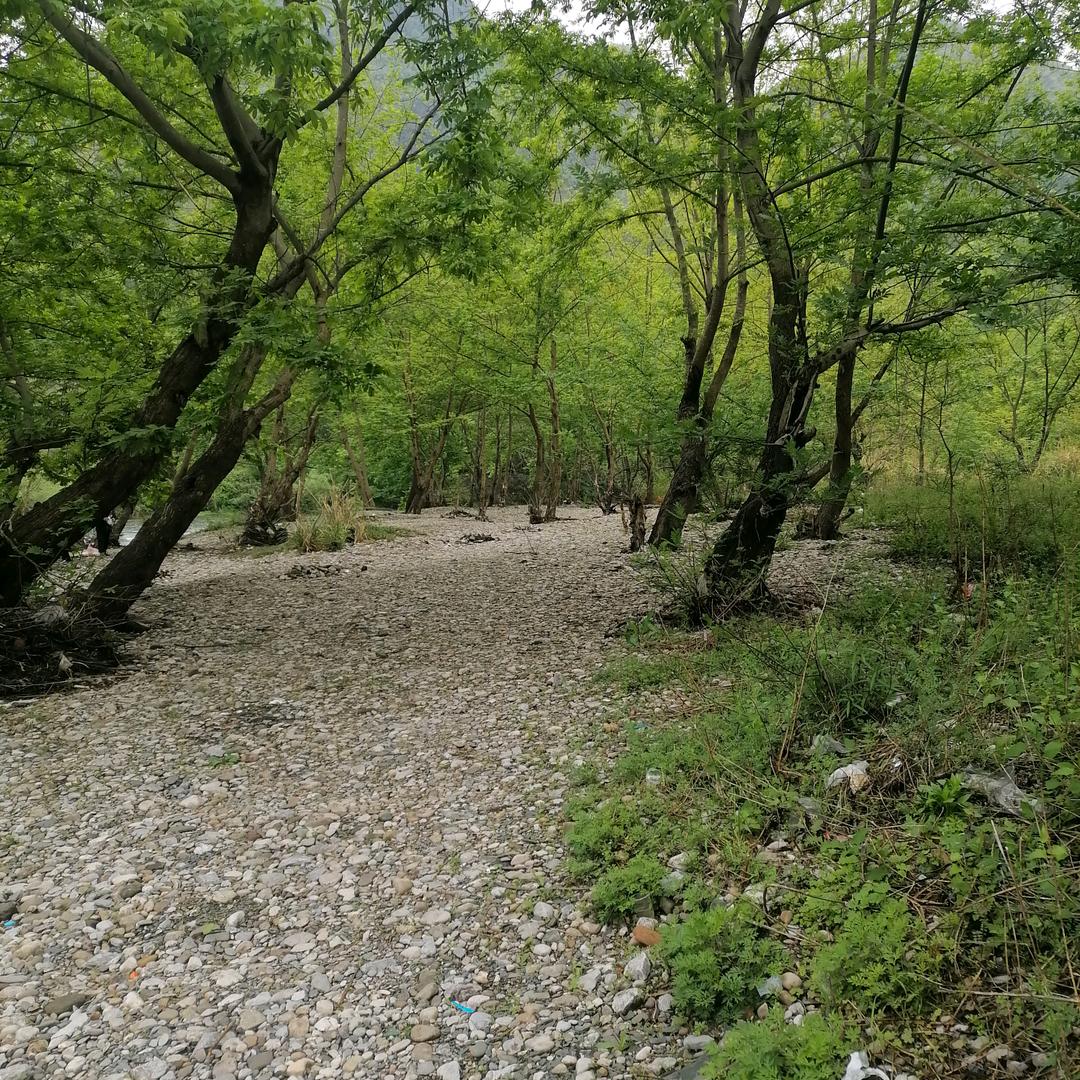 一烨