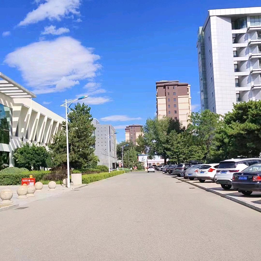 随风飘扬