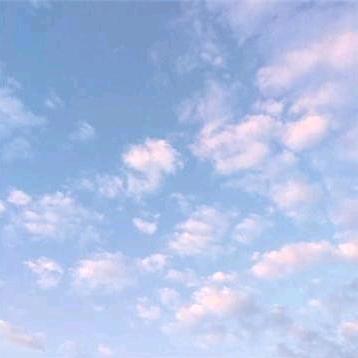 【往后🎉余笙】72631