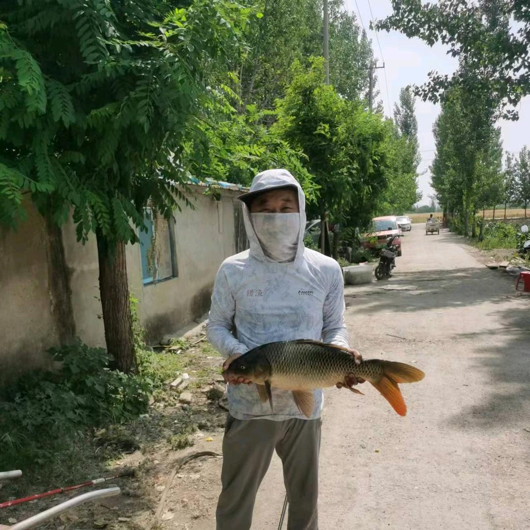 行者偷驴去钓鱼