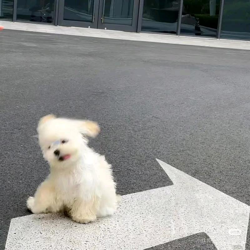早睡～