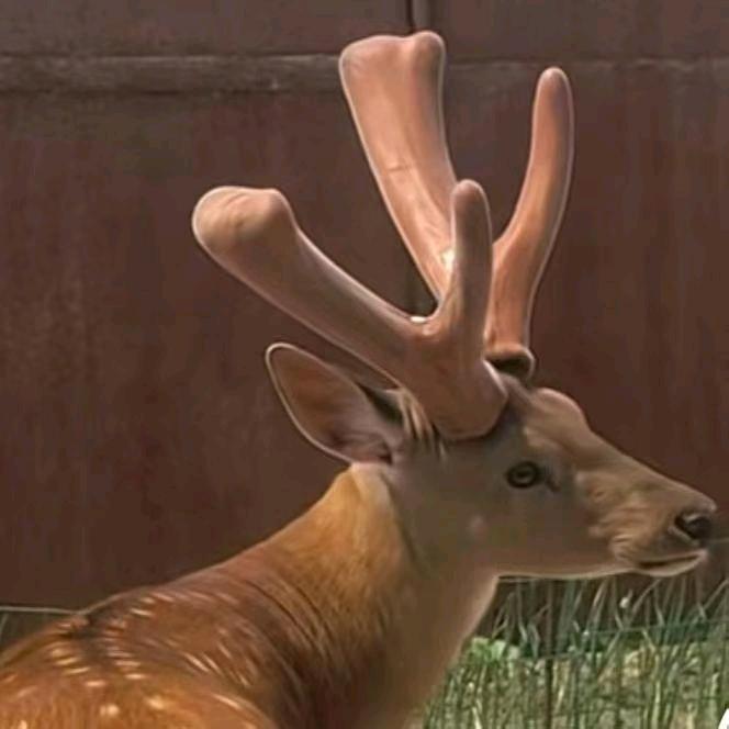 幸福是奋斗出来的