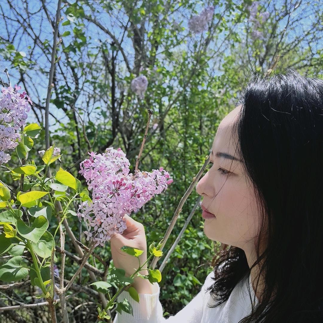 简简单单🌺
